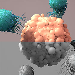 CAR-T cells icon2