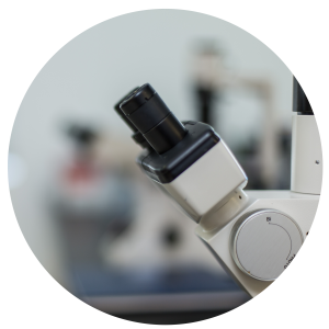 Microscope1-300x300