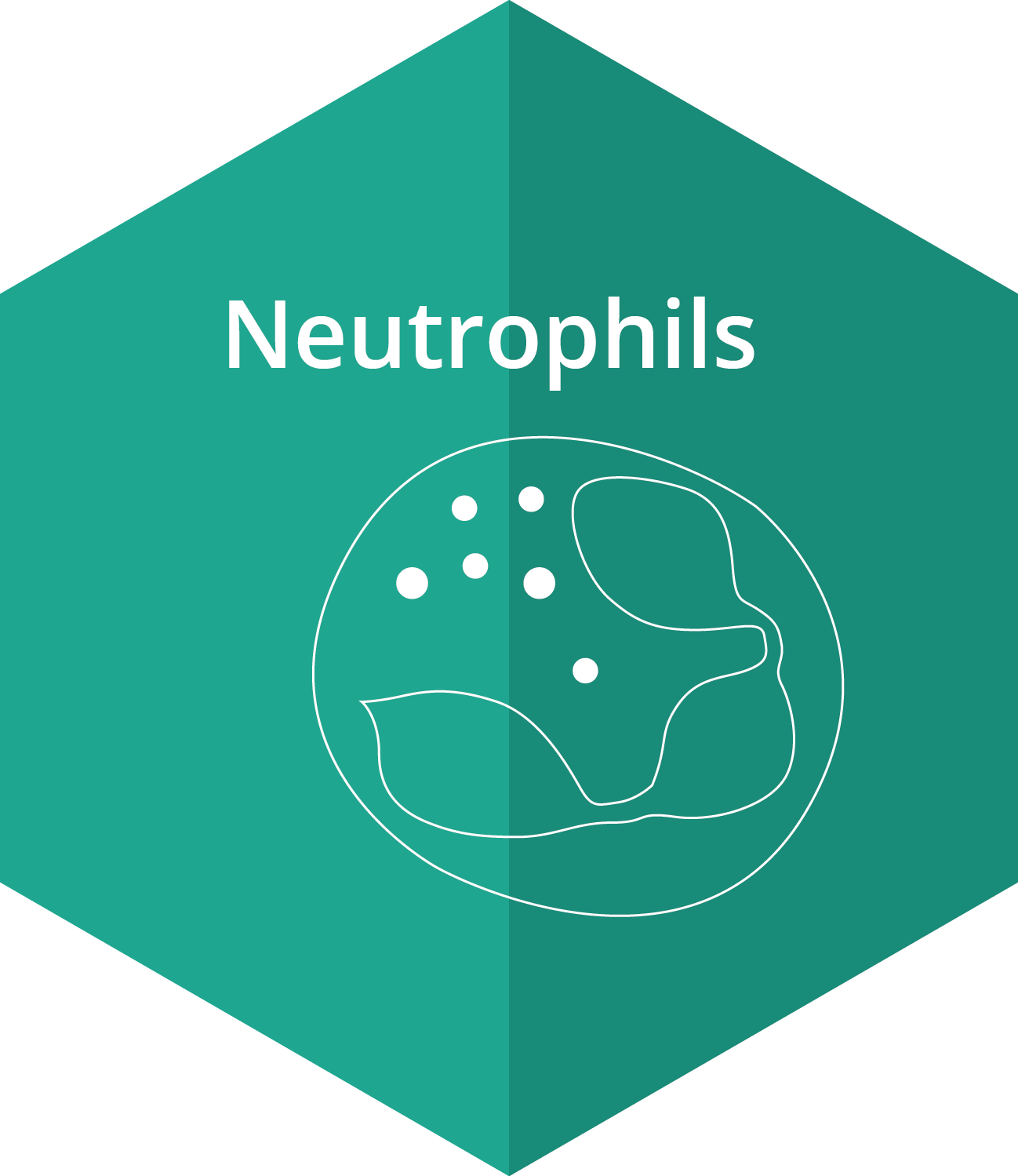 Neutropenia_Hex1-1